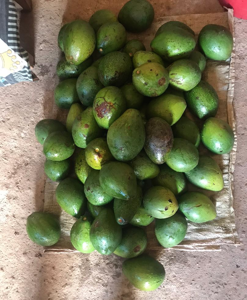Sharing the Bounty, Uganda