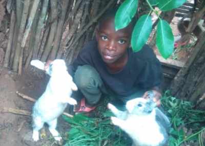 Raising Rabbits and a Business