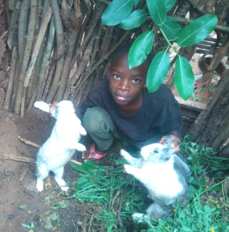 Raising Rabbits and a Business