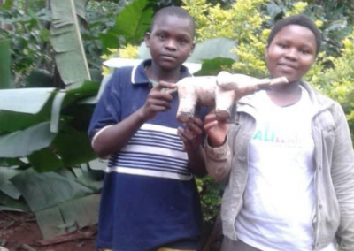 Brother and Sister Join Forces