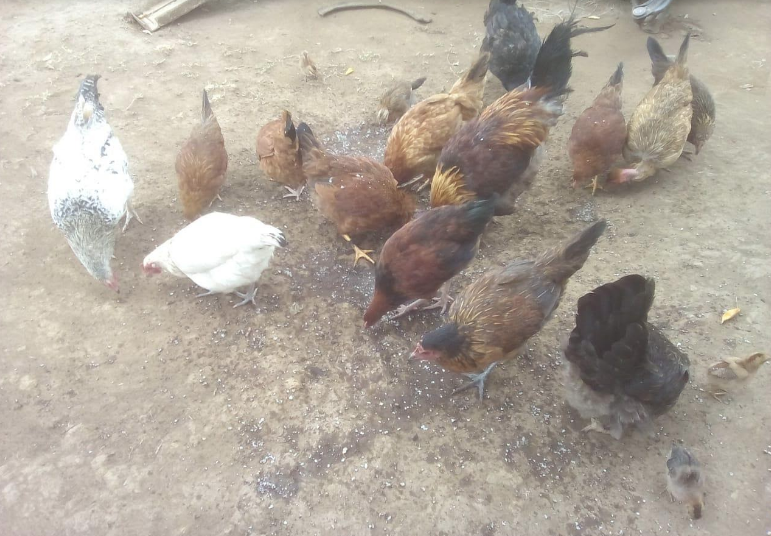 Defying the Cultural Norm, Kenya