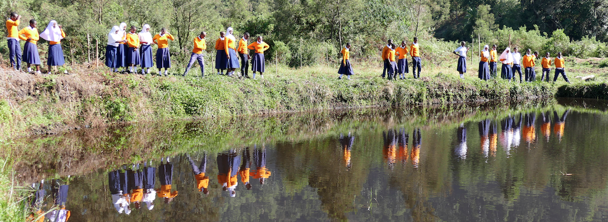 Student Fish Farm Project in Tanzania