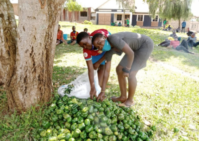 Thriving in Horticulture, Uganda