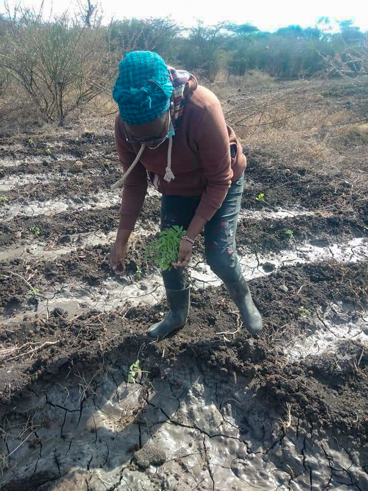 How Emily is turning tough times into opportunities, Kenya