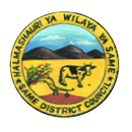 Same-District-Council Outstanding Woman Award