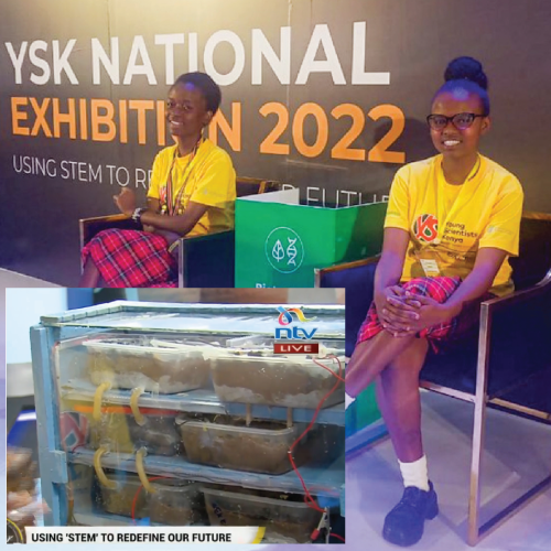 Water Purification, Kenya