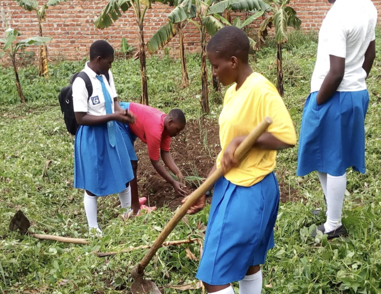 Enterprise Challenge