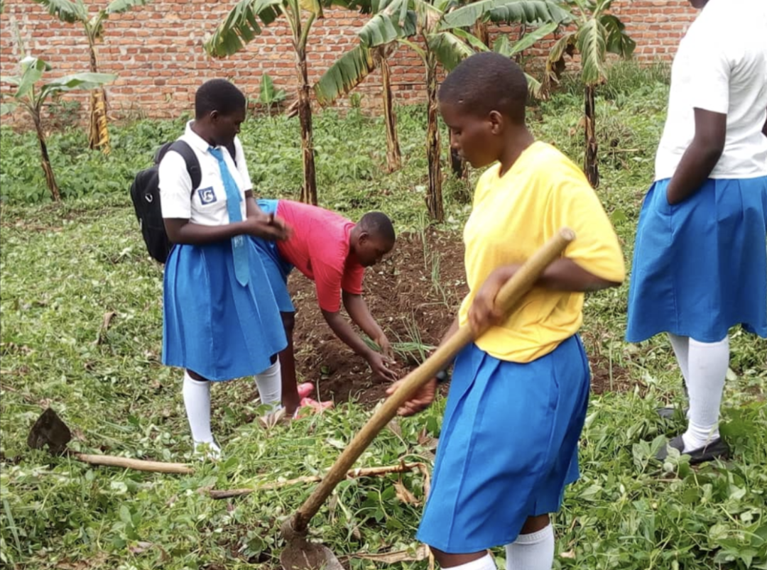 The Power of Vegetables