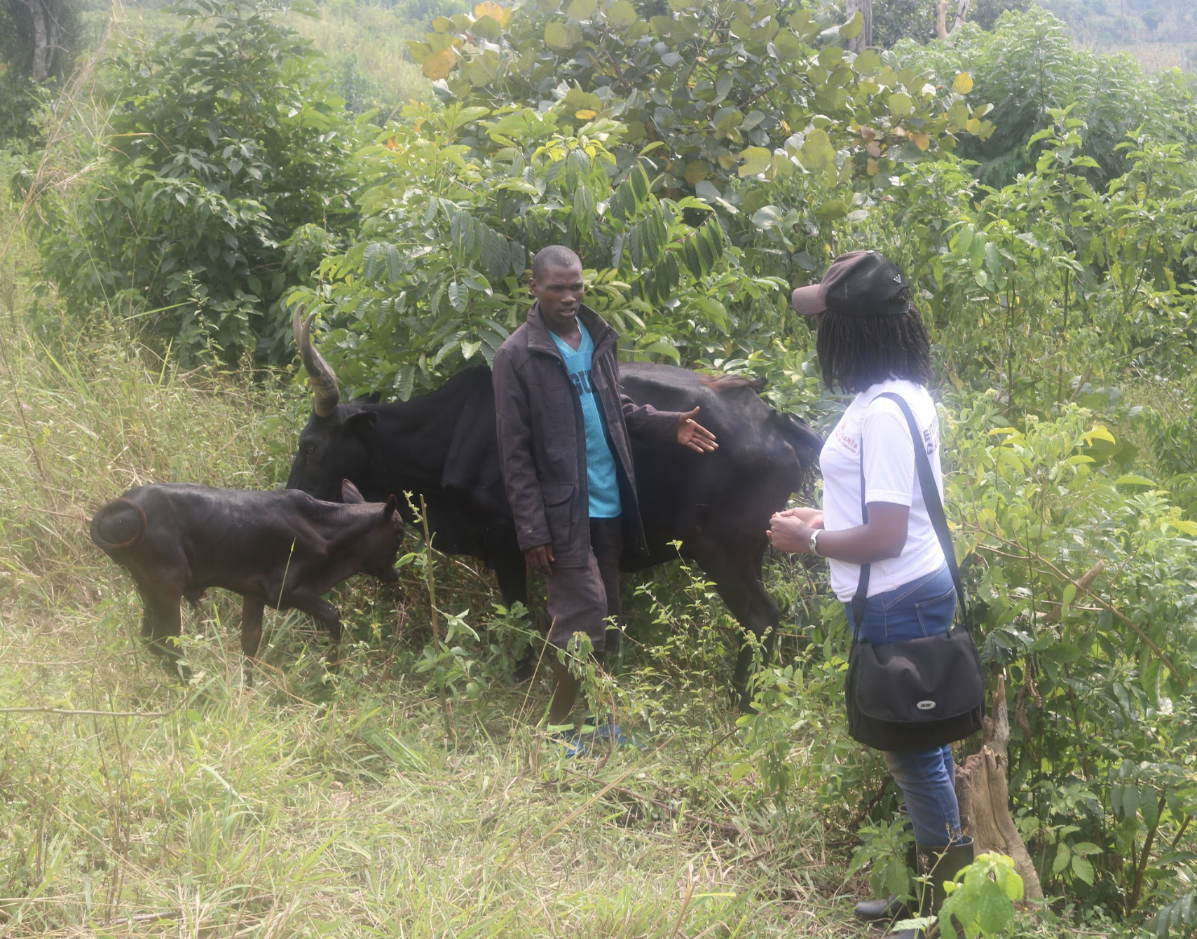 entrepreneurship program