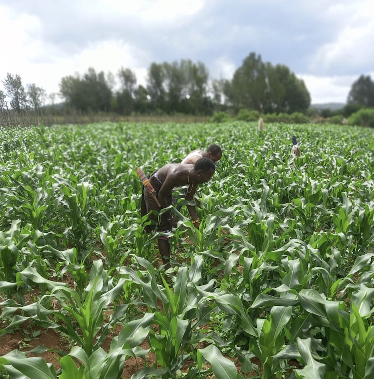 Empowerment for Youth