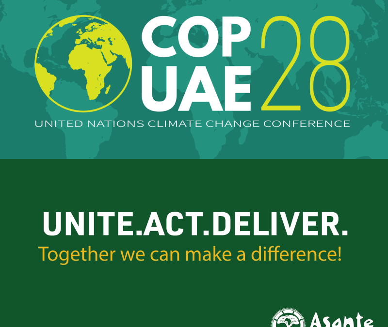 Asante Africa Foundation at RewireEd Summit – COP28