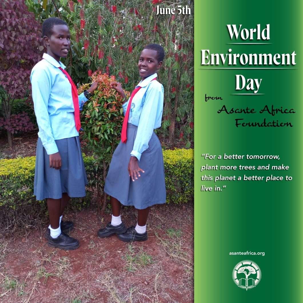 World Environment Day 2024