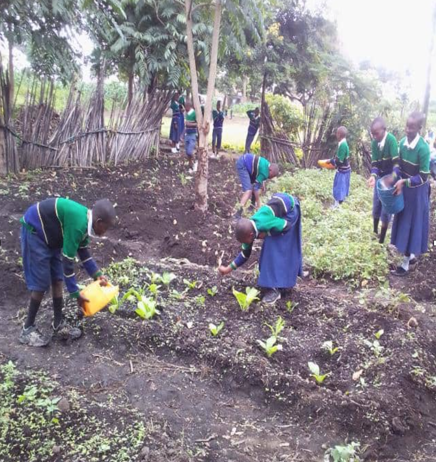 Global Green Generation