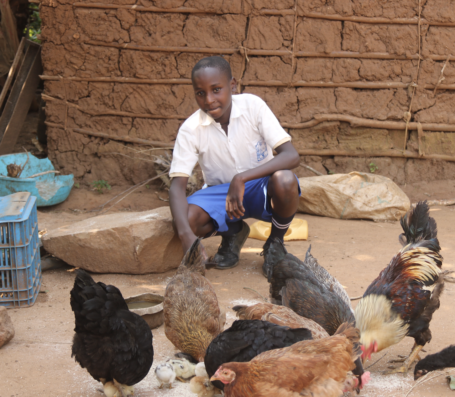 From Poultry to Prosperity: Alifunce’s Journey of Growth and Entrepreneurship