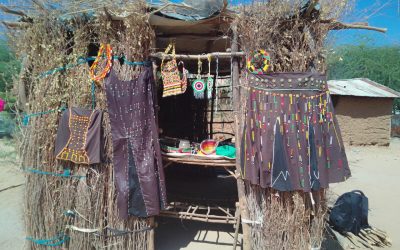 From Charcoal to Change: Inspiring Student Entrepreneurs in Rural Kenya